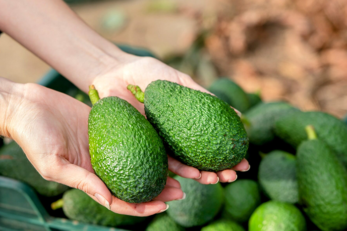 AVOKADO SAKLAMA İÇİN ÖNERİLER