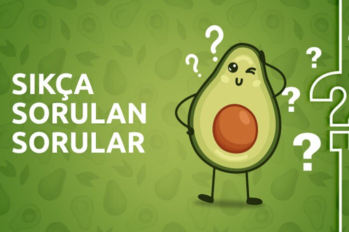 Kargo Sevkiyat Koşulları Nelerdir?