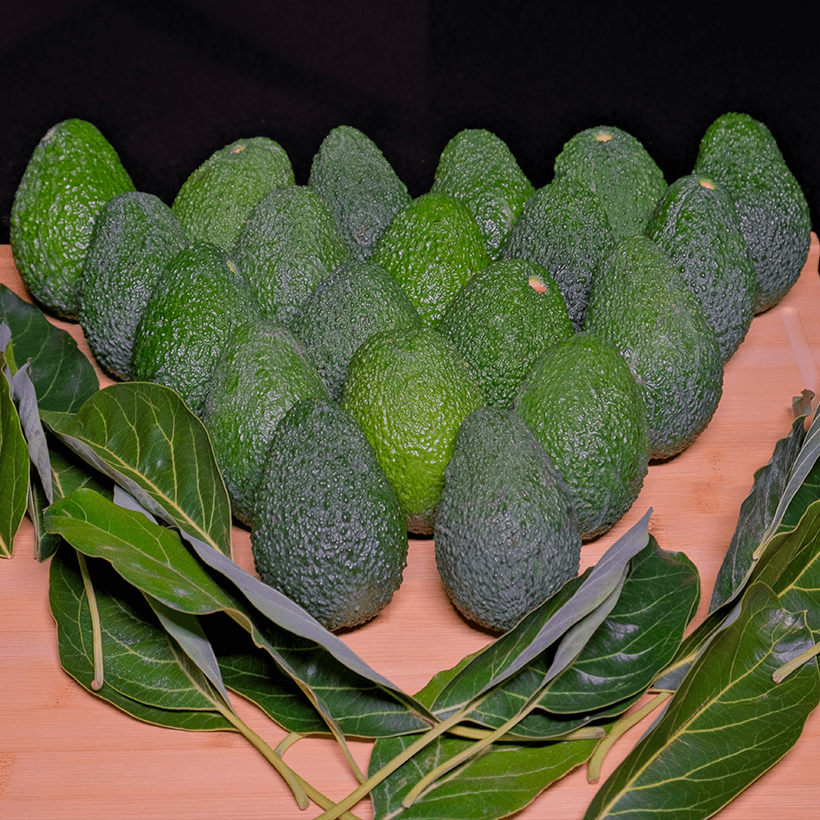 54'lü Avokado Jumbo Boy (250-350 gr)